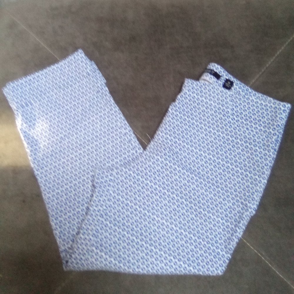 Insight Blue & White Printed Cropped Pants